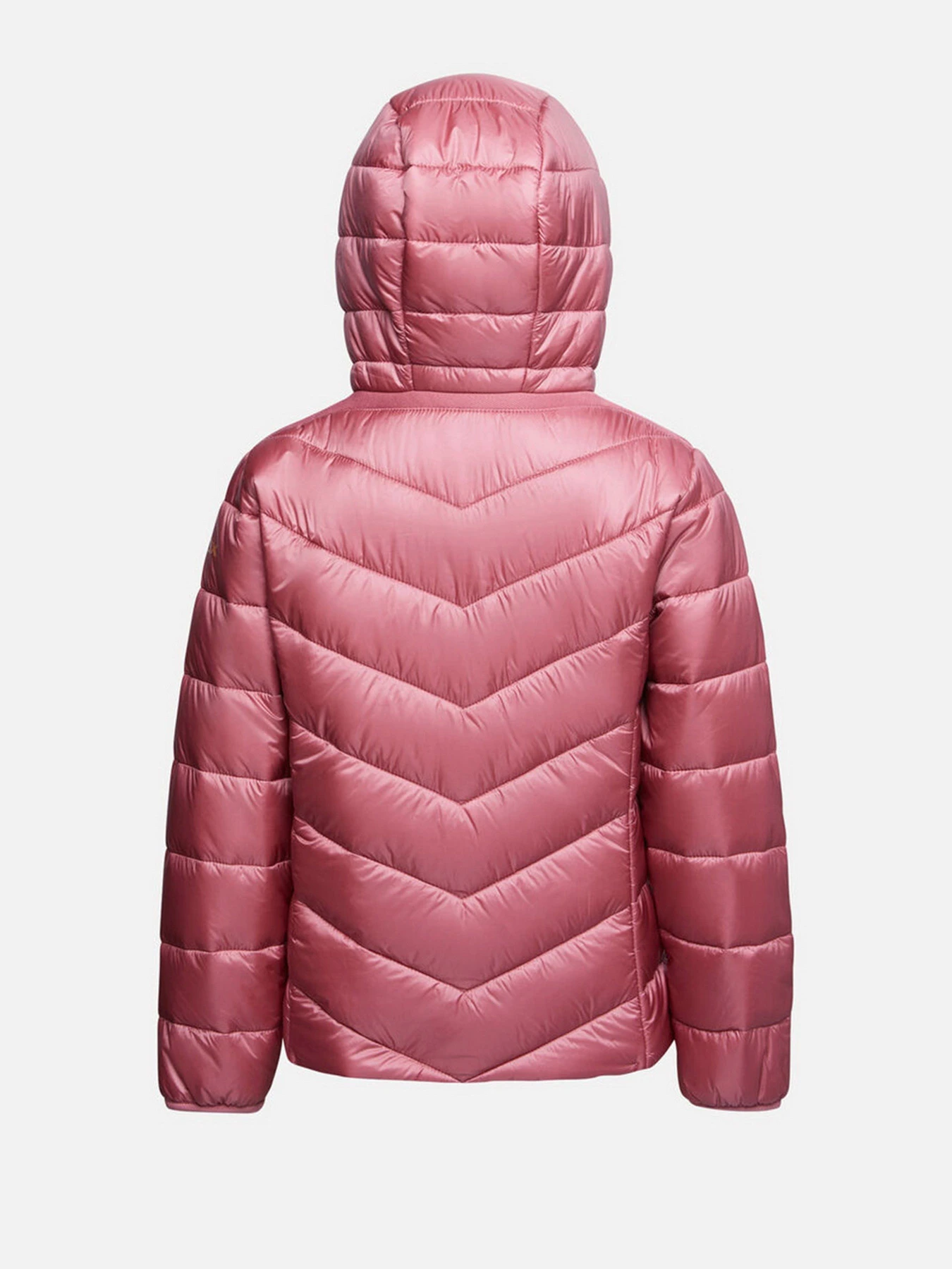 Куртки и дубленки Geox Agata модель K1420B-T2562-F8697 Куртки и дубленки Geox Agata модель K1420B-T2562-F8697 Фото