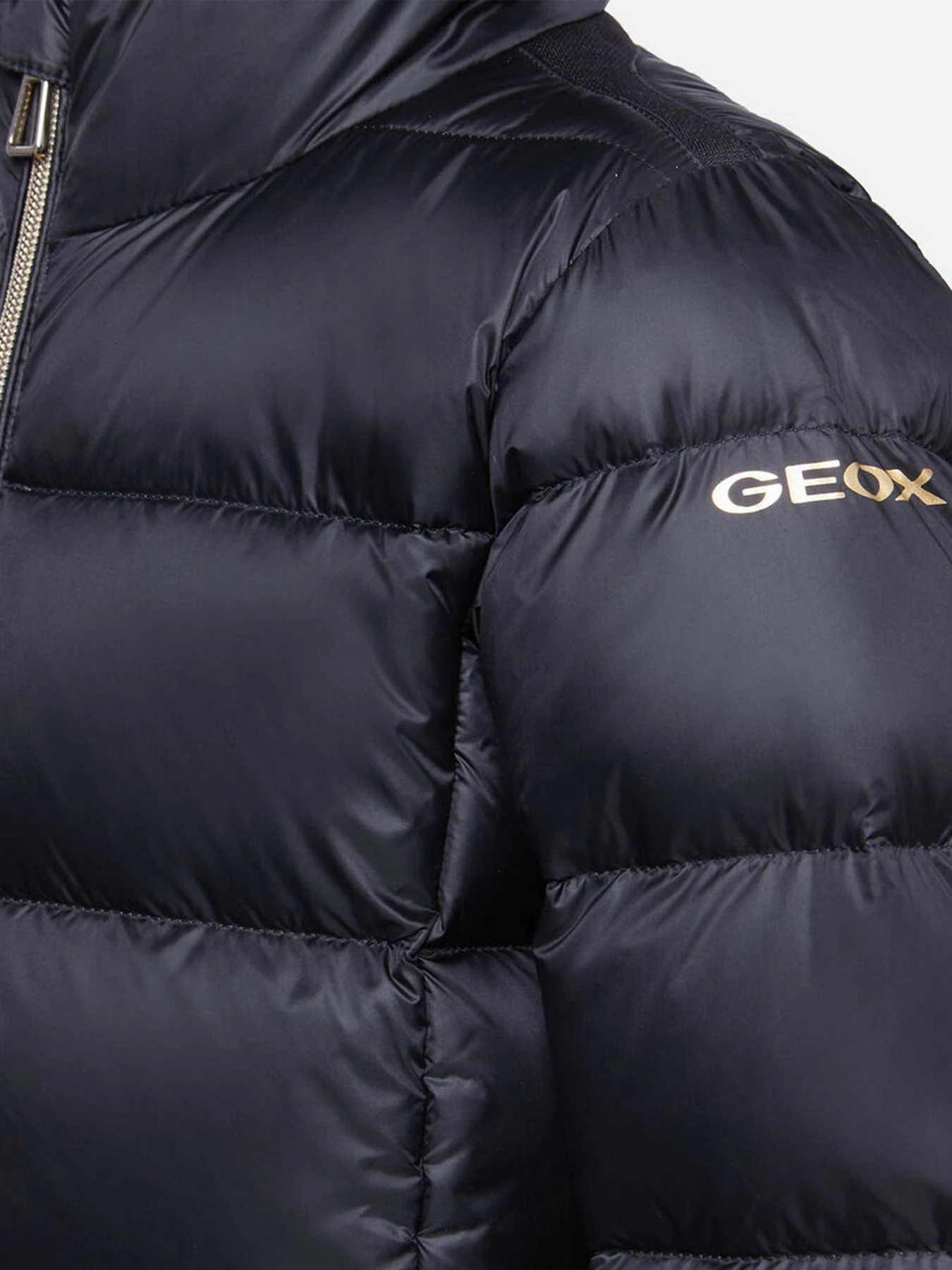 Куртки та дублянки Geox Himalaya модель K1425A-T2566-F9000 Куртки та дублянки Geox Himalaya модель K1425A-T2566-F9000 Фото