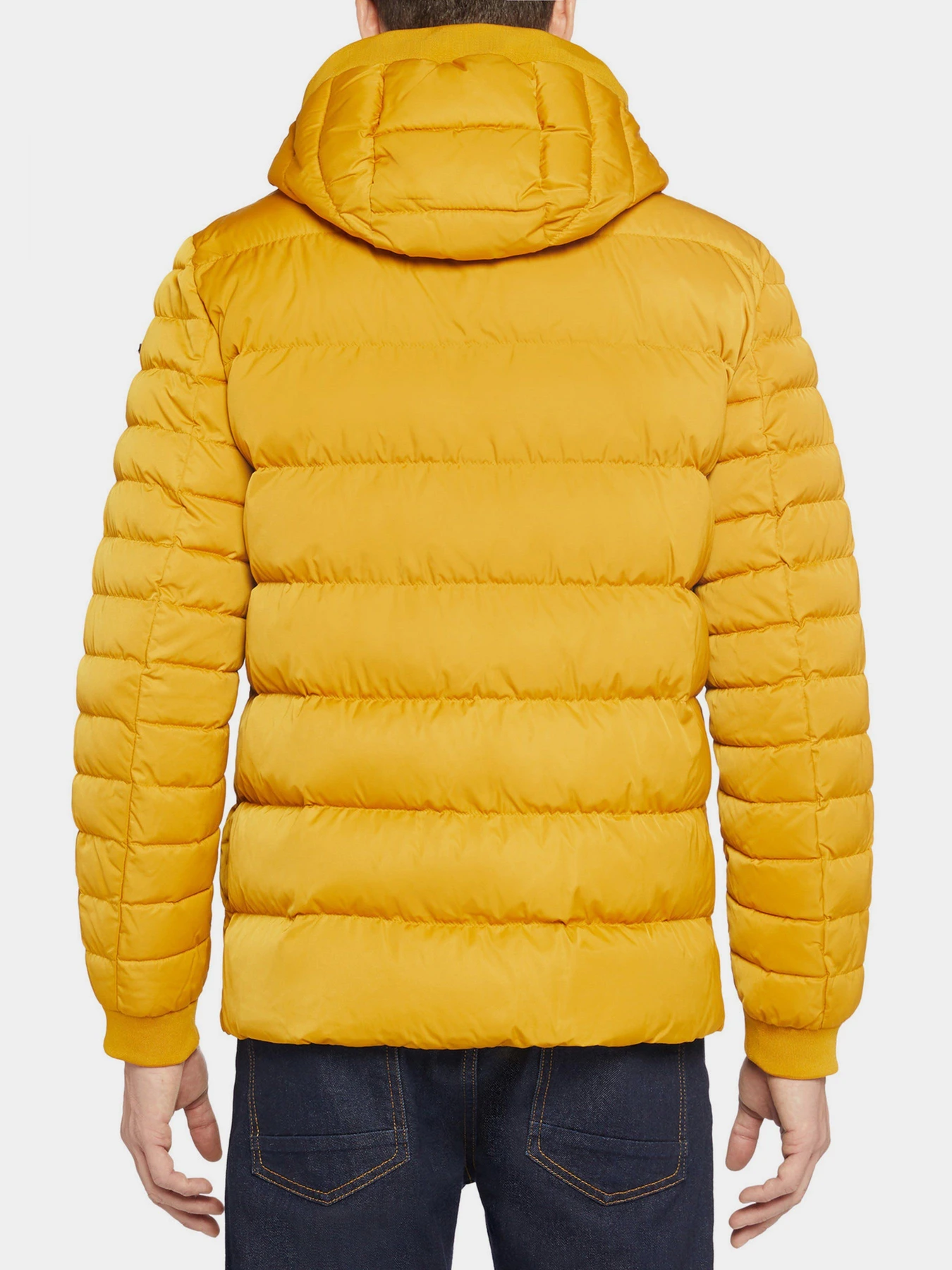 Куртки та дублянки Geox Colbyn модель M1428P-T2600-F2120 Куртки та дублянки Geox Colbyn модель M1428P-T2600-F2120 Фото