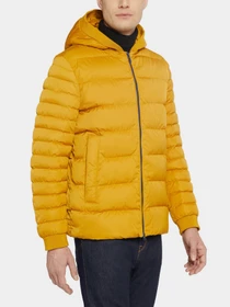 Куртки та дублянки Geox Colbyn модель M1428P-T2600-F2120 Фото