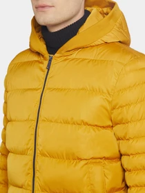 Куртки та дублянки Geox Colbyn модель M1428P-T2600-F2120 Фото