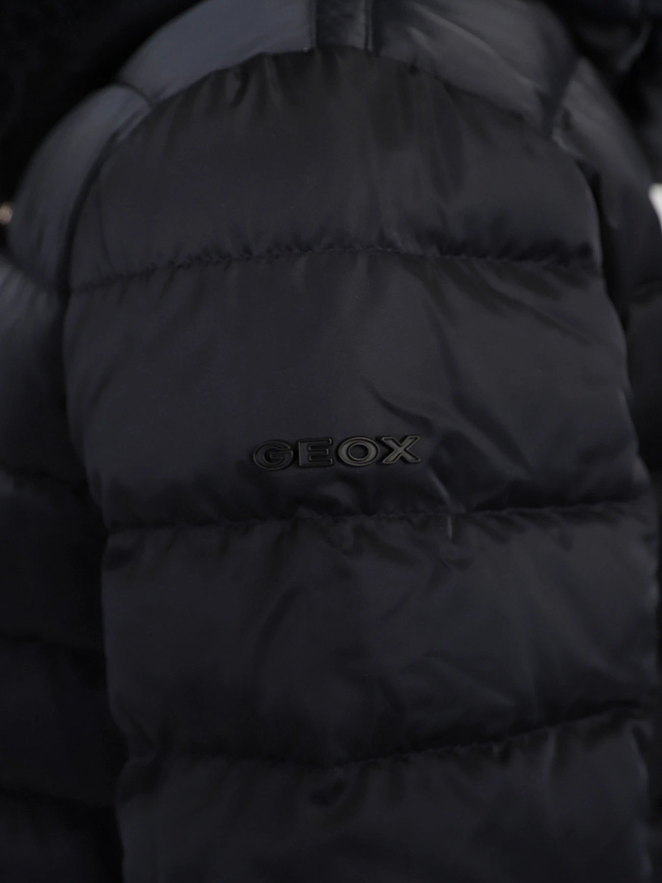 Куртки та дублянки Geox Chloo модель W1425M-T2655-F4386 Фото