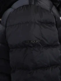 Куртки та дублянки Geox Chloo модель W1425M-T2655-F4386 Фото