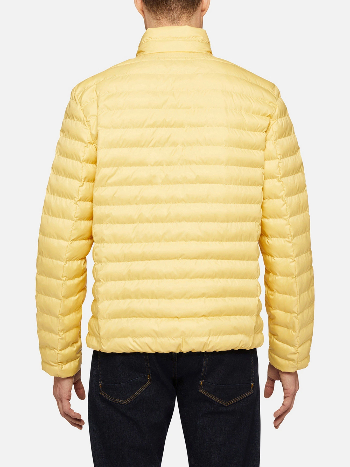 Куртки и дубленки Geox Dennie модель M2528B-T2919-F2132 Куртки и дубленки Geox Dennie модель M2528B-T2919-F2132 Фото