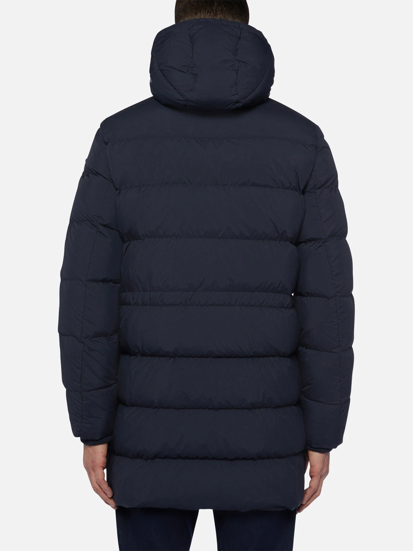 Куртки и дубленки Geox Nettuno модель M2626K-T2936-F1624 Куртки и дубленки Geox Nettuno модель M2626K-T2936-F1624 Фото