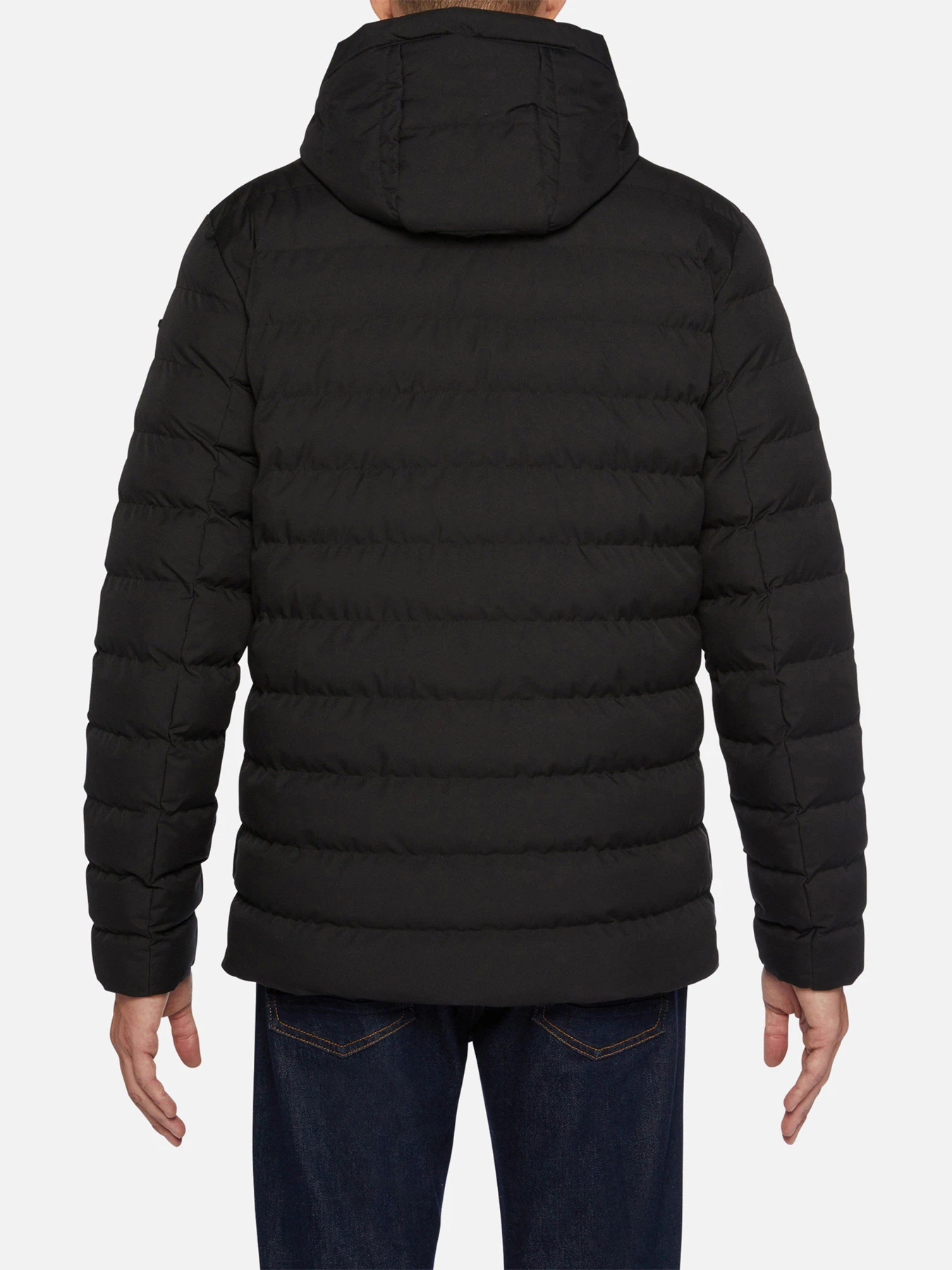 Куртки та дублянки Geox Hallson Herr модель M2628S-T2887-F9000 Куртки та дублянки Geox Hallson Herr модель M2628S-T2887-F9000 Фото