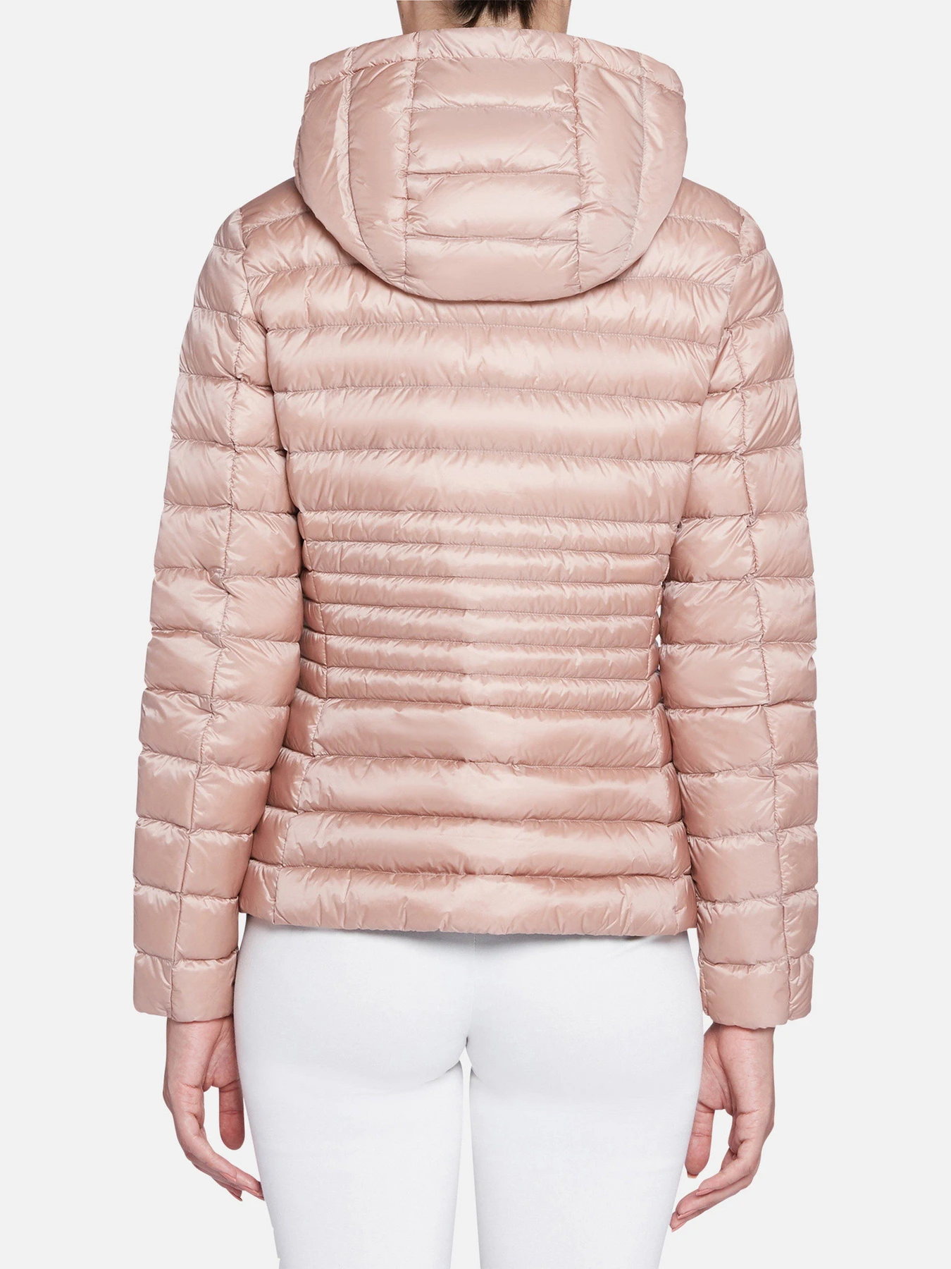 Куртки и дубленки Geox Jaysen модель W0425B-T2566-F8277 Фото