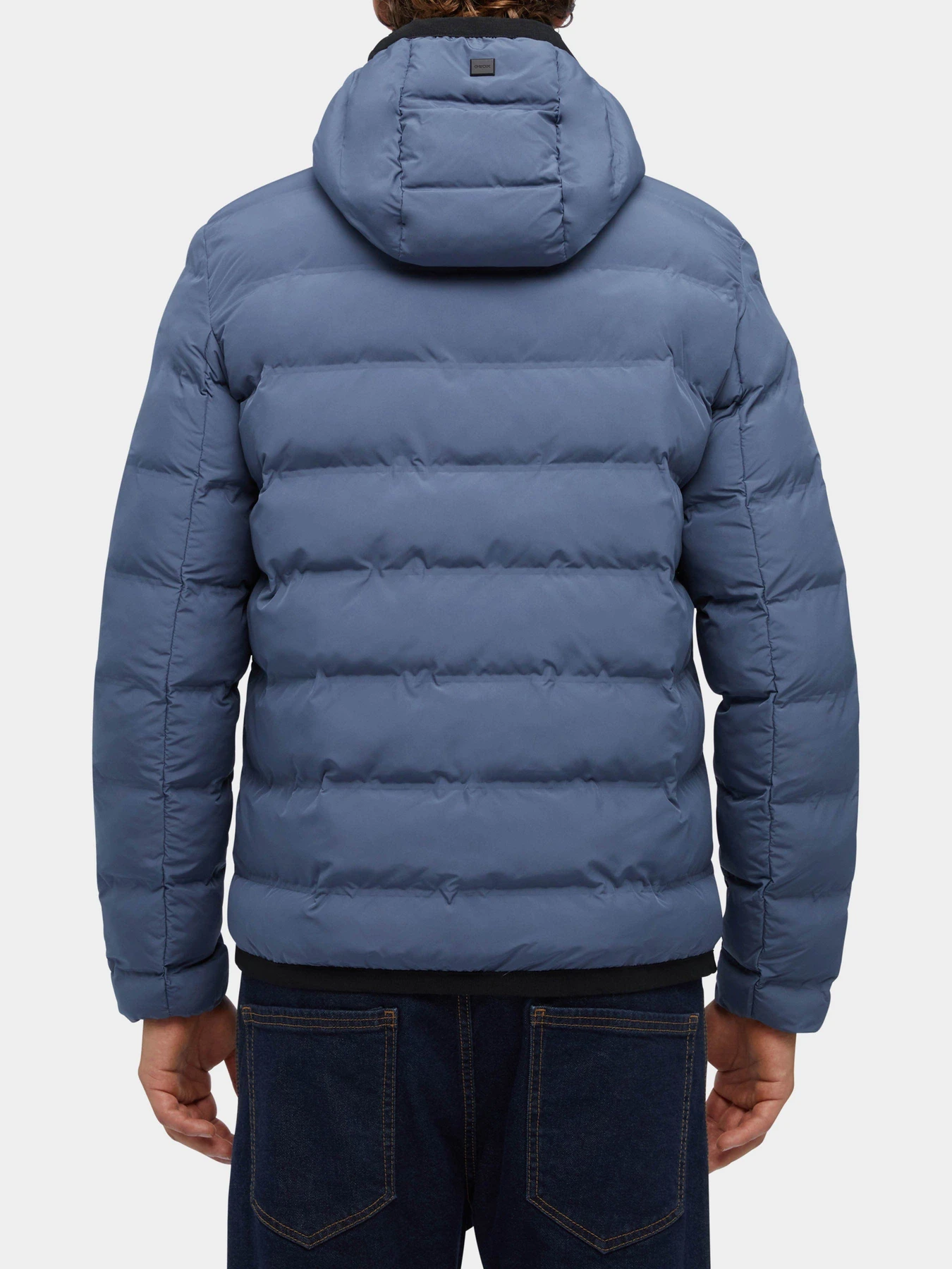 Куртки и дубленки Geox Spherica модель M3629C-T2961-F4393 Куртки и дубленки Geox Spherica модель M3629C-T2961-F4393 Фото
