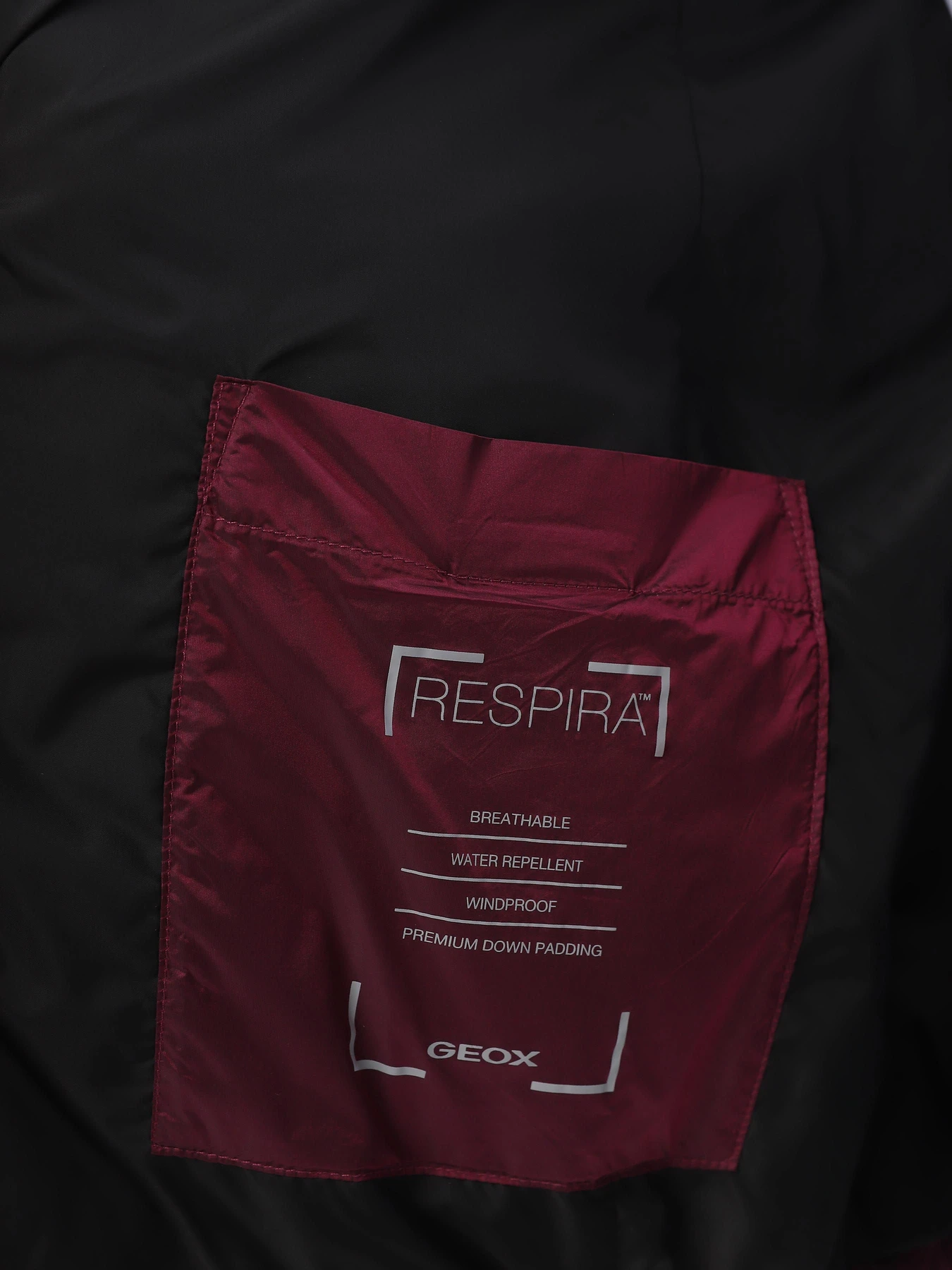 Куртки та дублянки Geox Jaysen модель W3625E-T2566-F8266 Куртки та дублянки Geox Jaysen модель W3625E-T2566-F8266 Фото