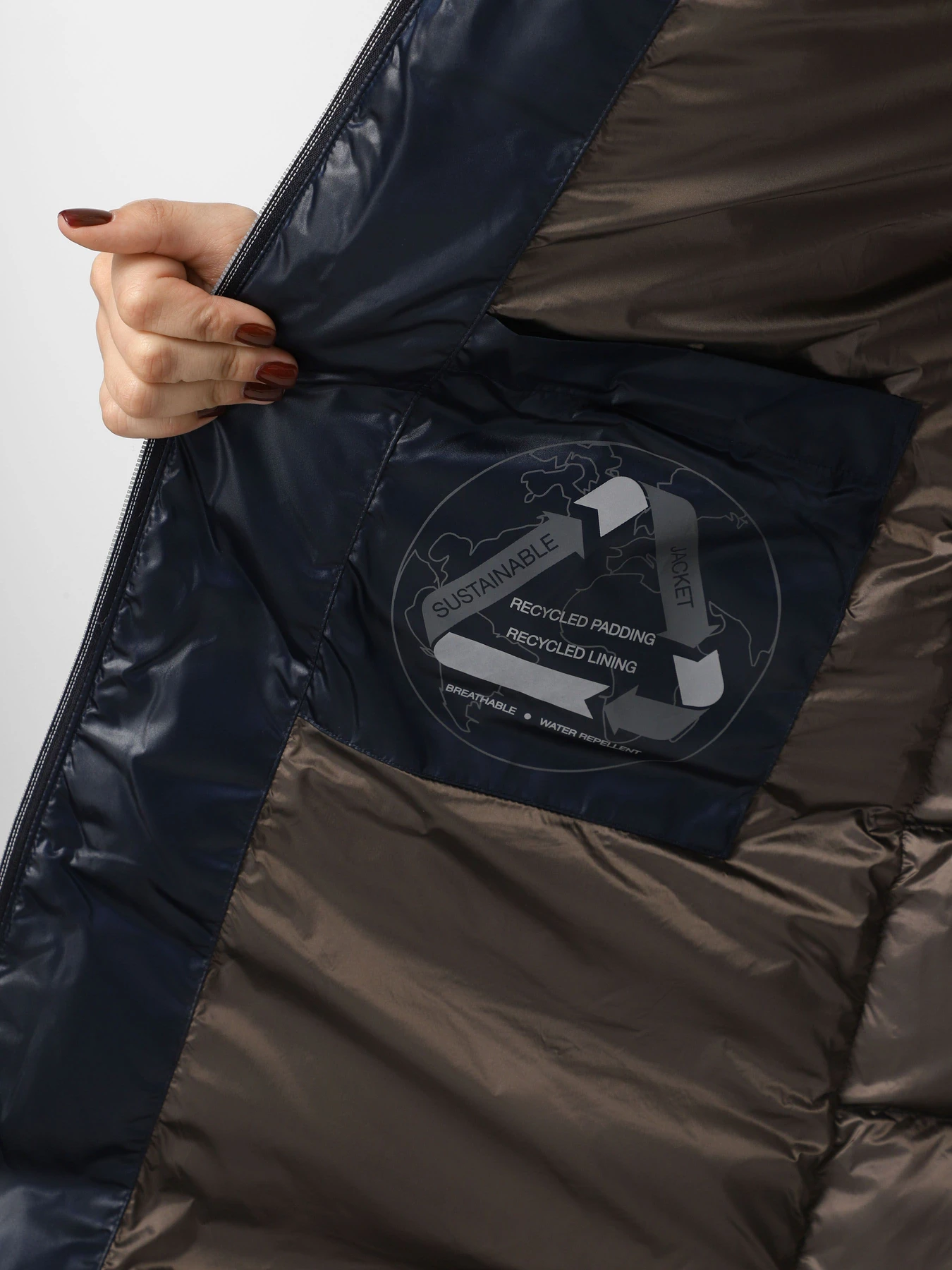 Куртки та дублянки Geox Backsie модель W4628H-T2843-F1624 Куртки та дублянки Geox Backsie модель W4628H-T2843-F1624 Фото