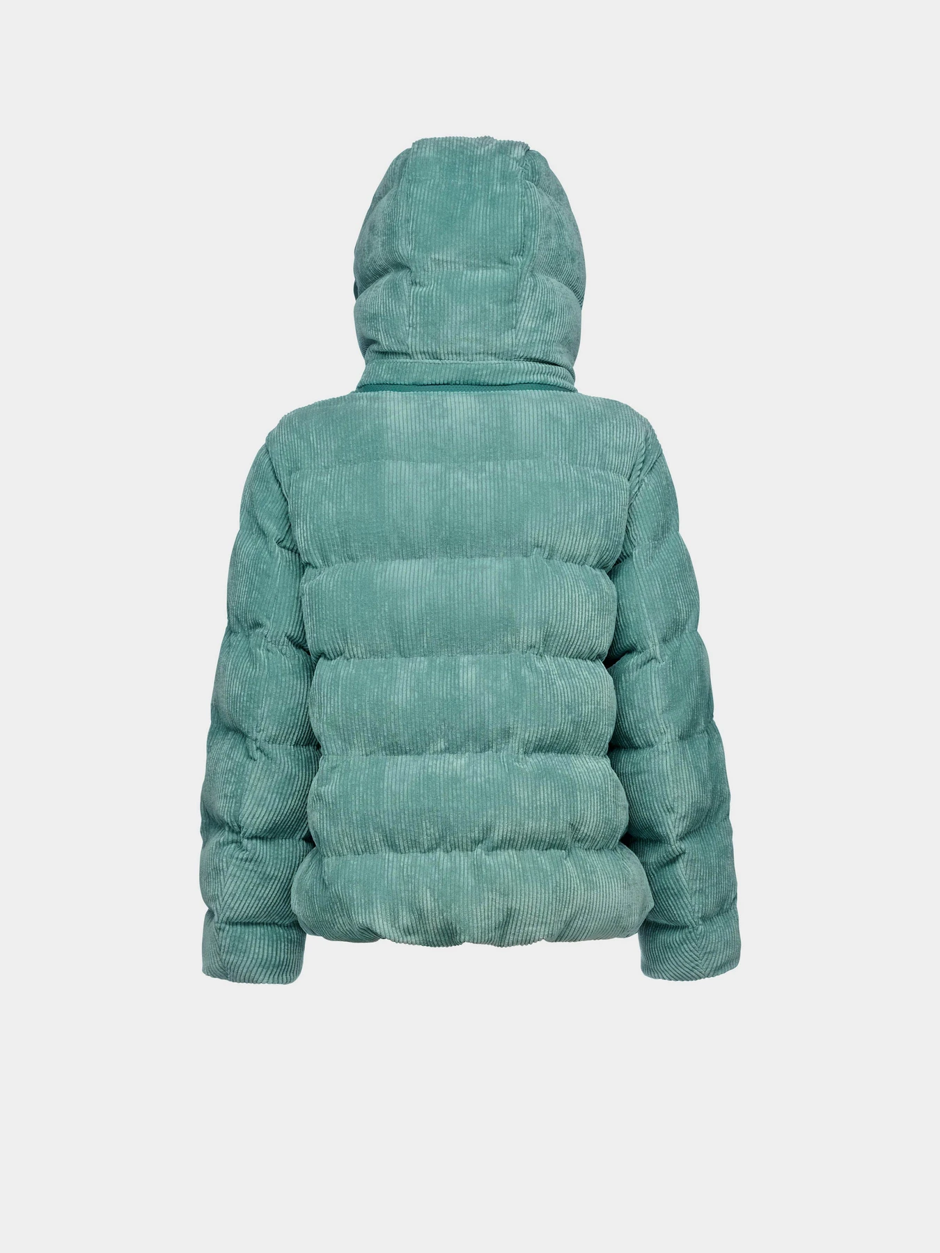 Куртки та дублянки Geox Loisia модель W4628D-T3153-F4622 Куртки та дублянки Geox Loisia модель W4628D-T3153-F4622 Фото