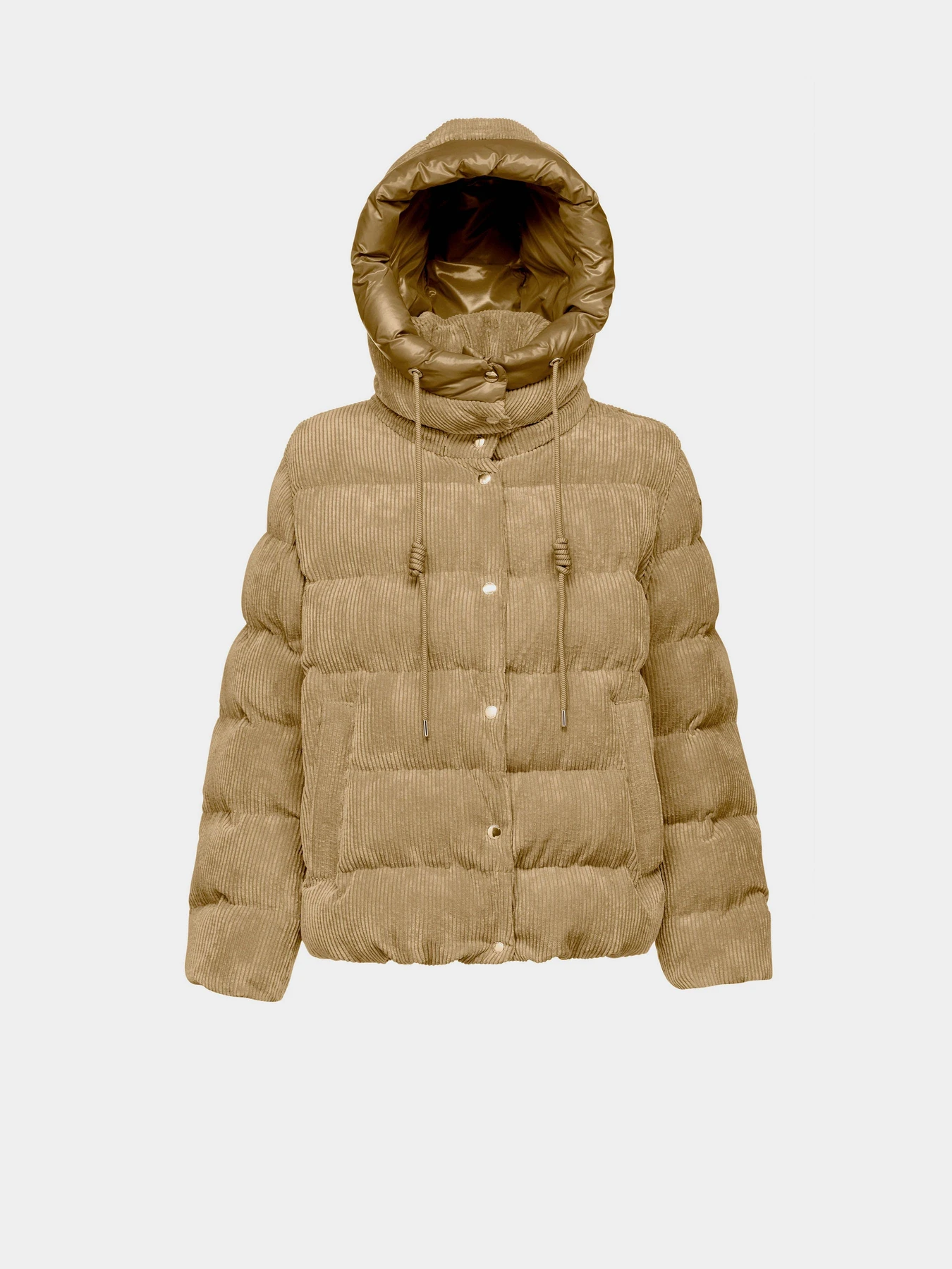 Куртки и дубленки Geox Loisia модель W4628D-T3153-F5233 Куртки и дубленки Geox Loisia модель W4628D-T3153-F5233 Фото
