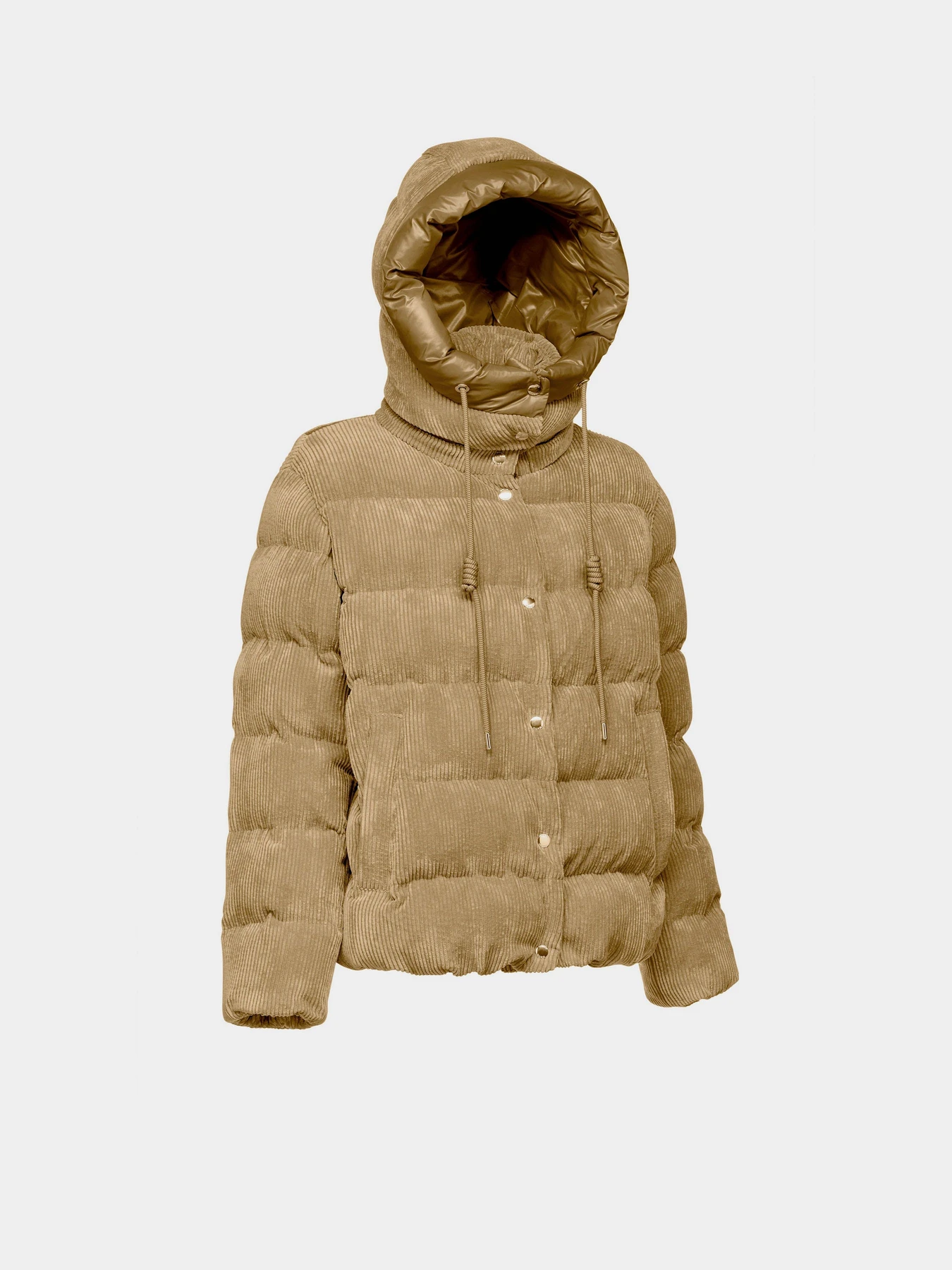 Куртки и дубленки Geox Loisia модель W4628D-T3153-F5233 Куртки и дубленки Geox Loisia модель W4628D-T3153-F5233 Фото