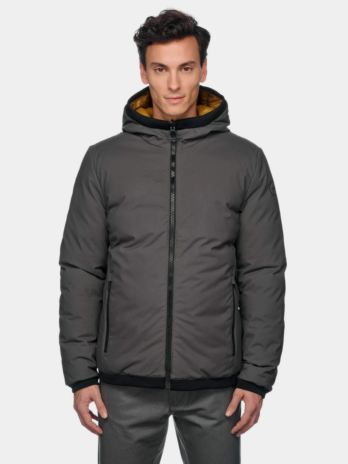 Куртки и дубленки Geox Spherica модель M4629D-TC189-F1790 Куртки и дубленки Geox Spherica модель M4629D-TC189-F1790 Фото