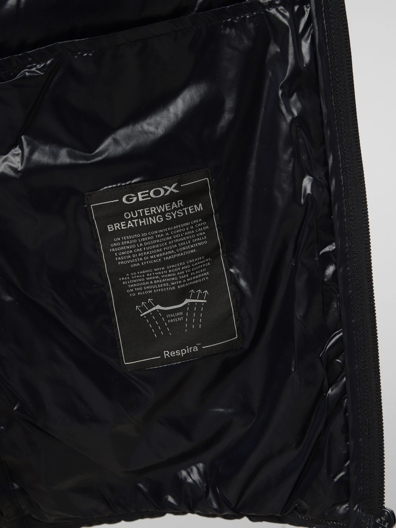 Куртки та дублянки Geox WARRENS модель M6525D-T3152-F1624 Куртки та дублянки Geox WARRENS модель M6525D-T3152-F1624 Фото
