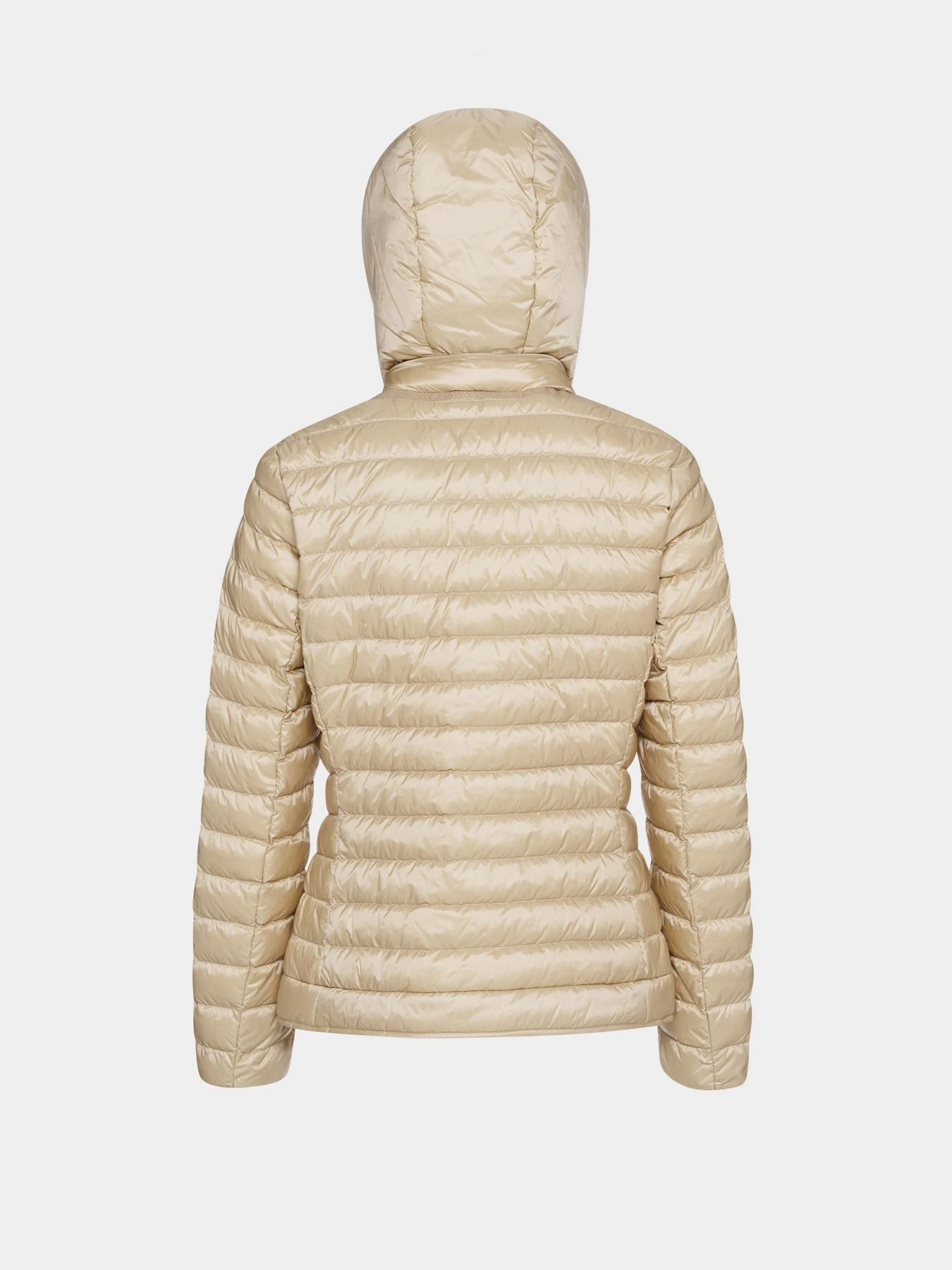 Куртки и дубленки Geox JAYSEN модель W6525B-T3146-F5262 Куртки и дубленки Geox JAYSEN модель W6525B-T3146-F5262 Фото