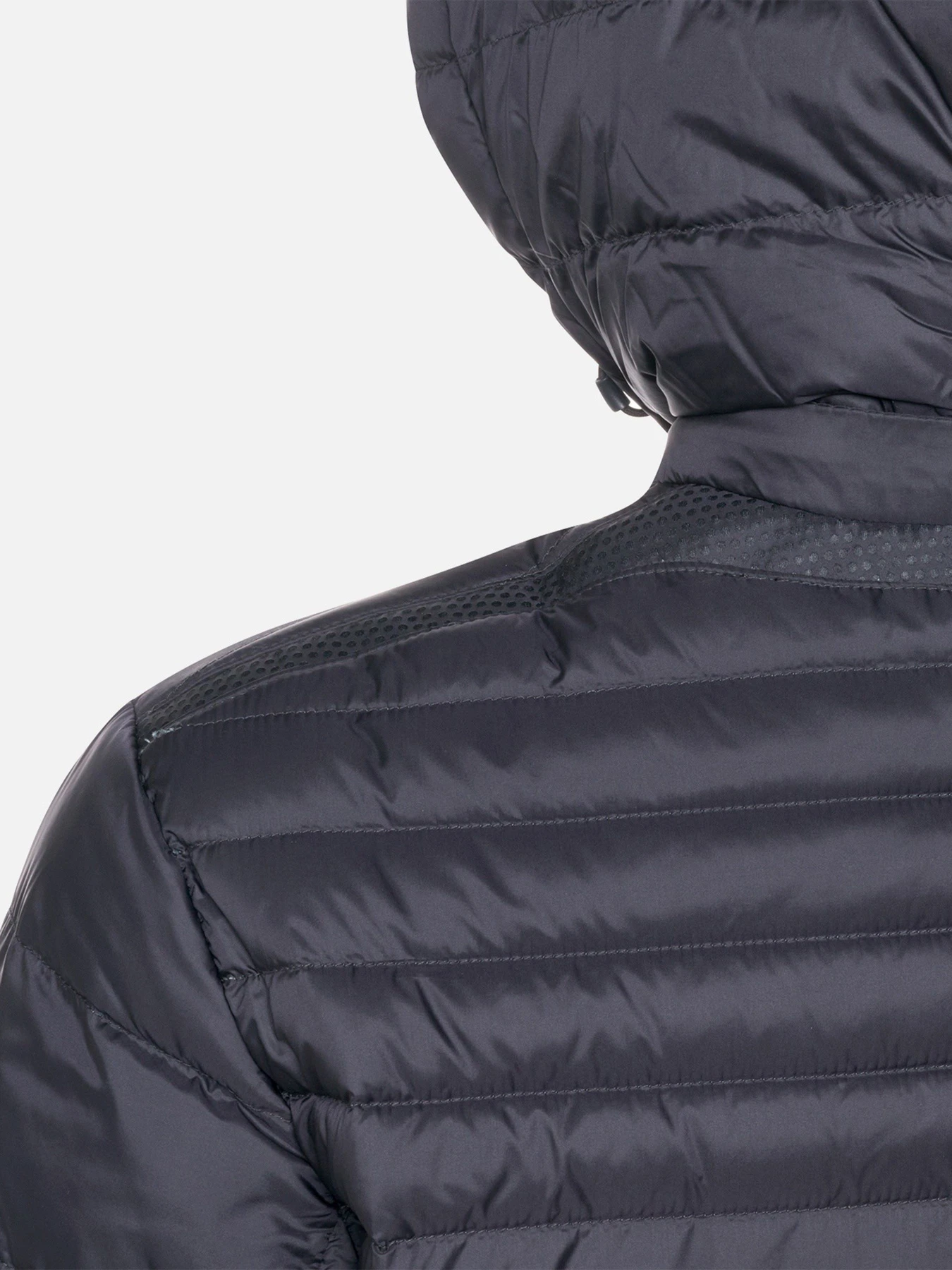 Куртки и дубленки Geox WARRENS модель M6625B-T3125-F1624 Куртки и дубленки Geox WARRENS модель M6625B-T3125-F1624 Фото