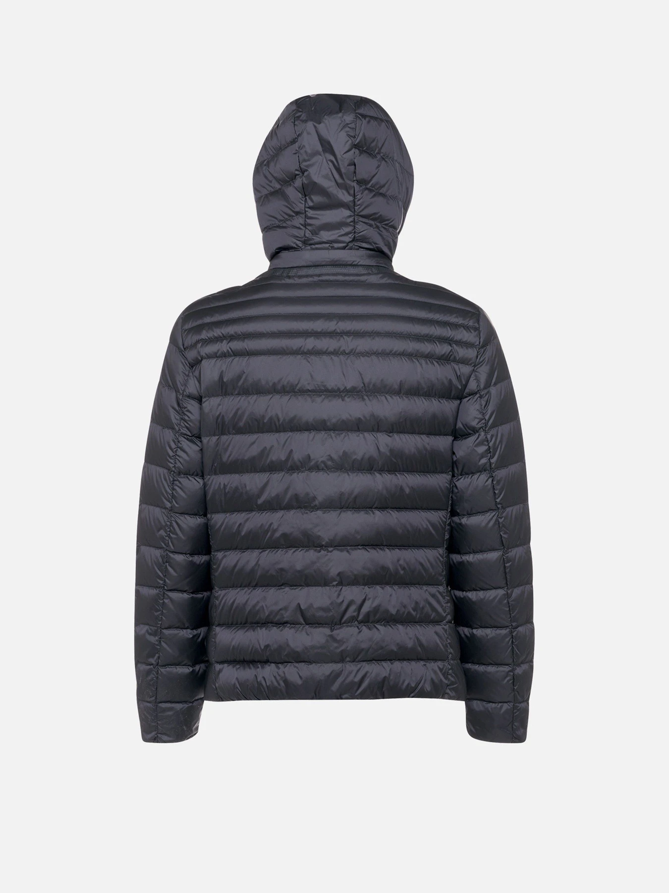 Куртки и дубленки Geox WARRENS модель M6625B-T3125-F1624 Куртки и дубленки Geox WARRENS модель M6625B-T3125-F1624 Фото