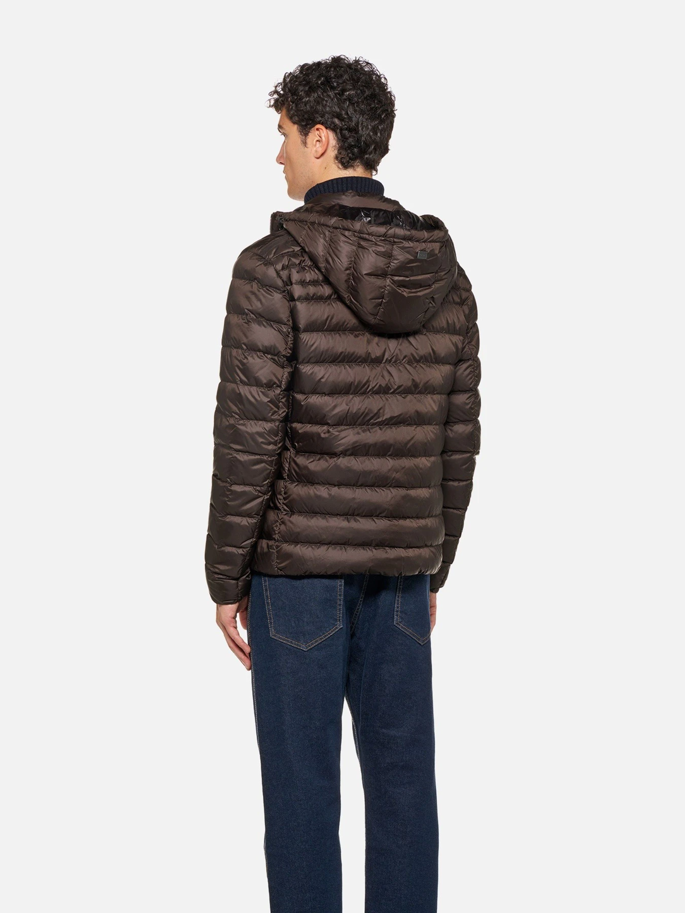 Куртки и дубленки Geox WARRENS модель M6625B-T3125-F6107 Куртки и дубленки Geox WARRENS модель M6625B-T3125-F6107 Фото