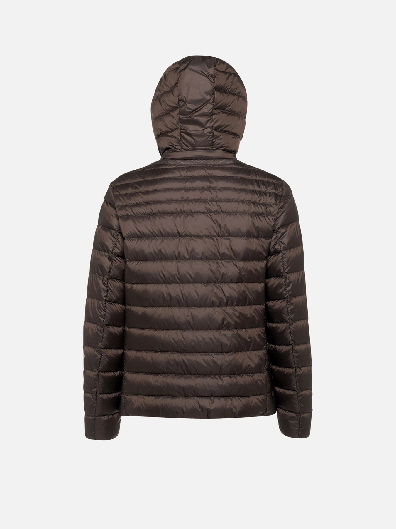 Куртки и дубленки Geox WARRENS модель M6625B-T3125-F6107 Куртки и дубленки Geox WARRENS модель M6625B-T3125-F6107 Фото
