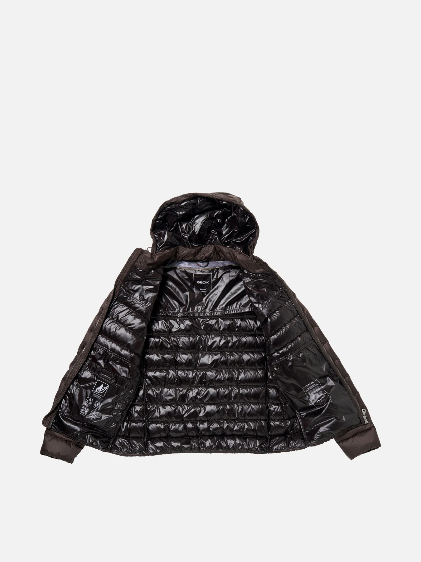 Куртки и дубленки Geox WARRENS модель M6625B-T3125-F6107 Куртки и дубленки Geox WARRENS модель M6625B-T3125-F6107 Фото