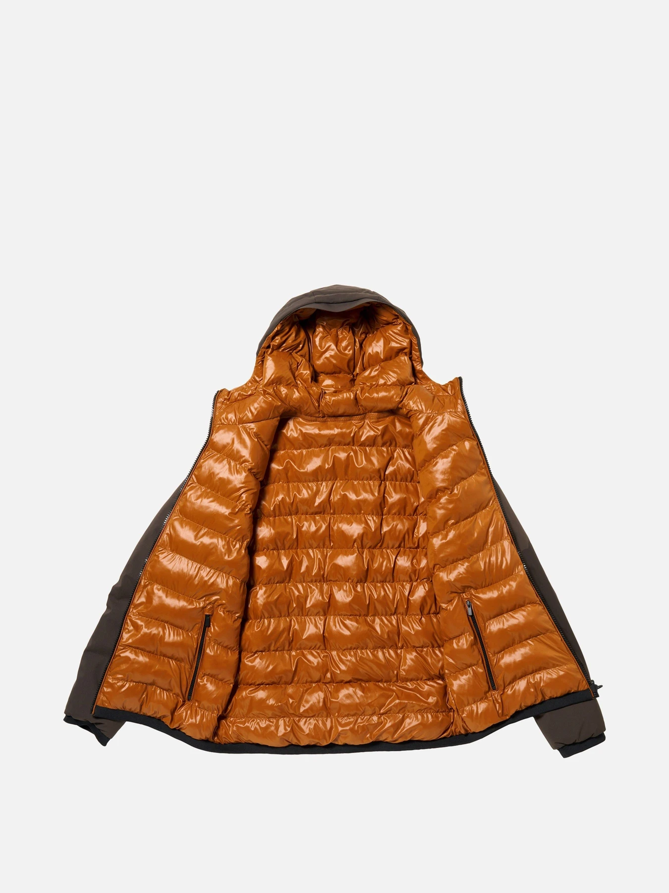 Куртки и дубленки Geox SPHERICA модель M6629D-TC228-F1911 Куртки и дубленки Geox SPHERICA модель M6629D-TC228-F1911 Фото