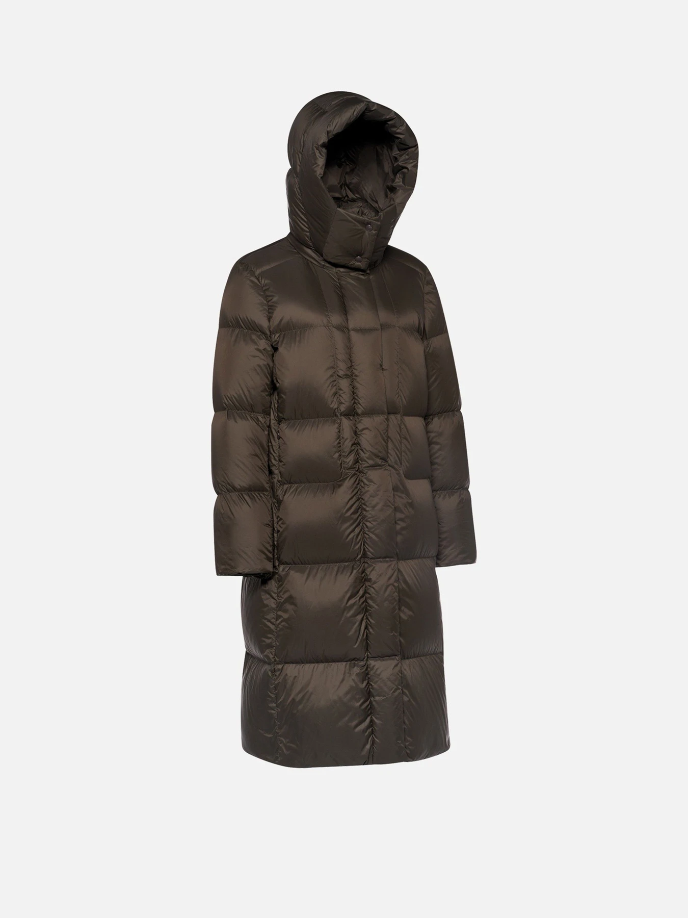 Куртки и дубленки Geox ARLARA модель W6625L-T3414-F6216 Куртки и дубленки Geox ARLARA модель W6625L-T3414-F6216 Фото