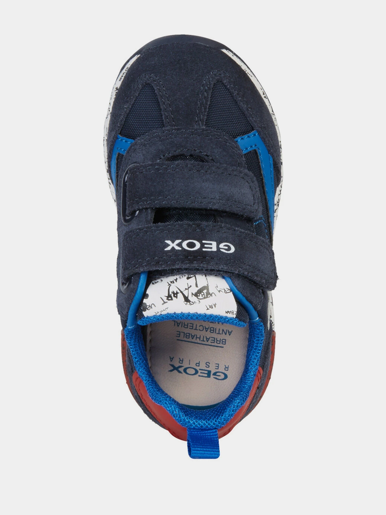Кросівки Geox Alben модель B943CC-0FU22-C4244 Кросівки Geox Alben модель B943CC-0FU22-C4244 Фото