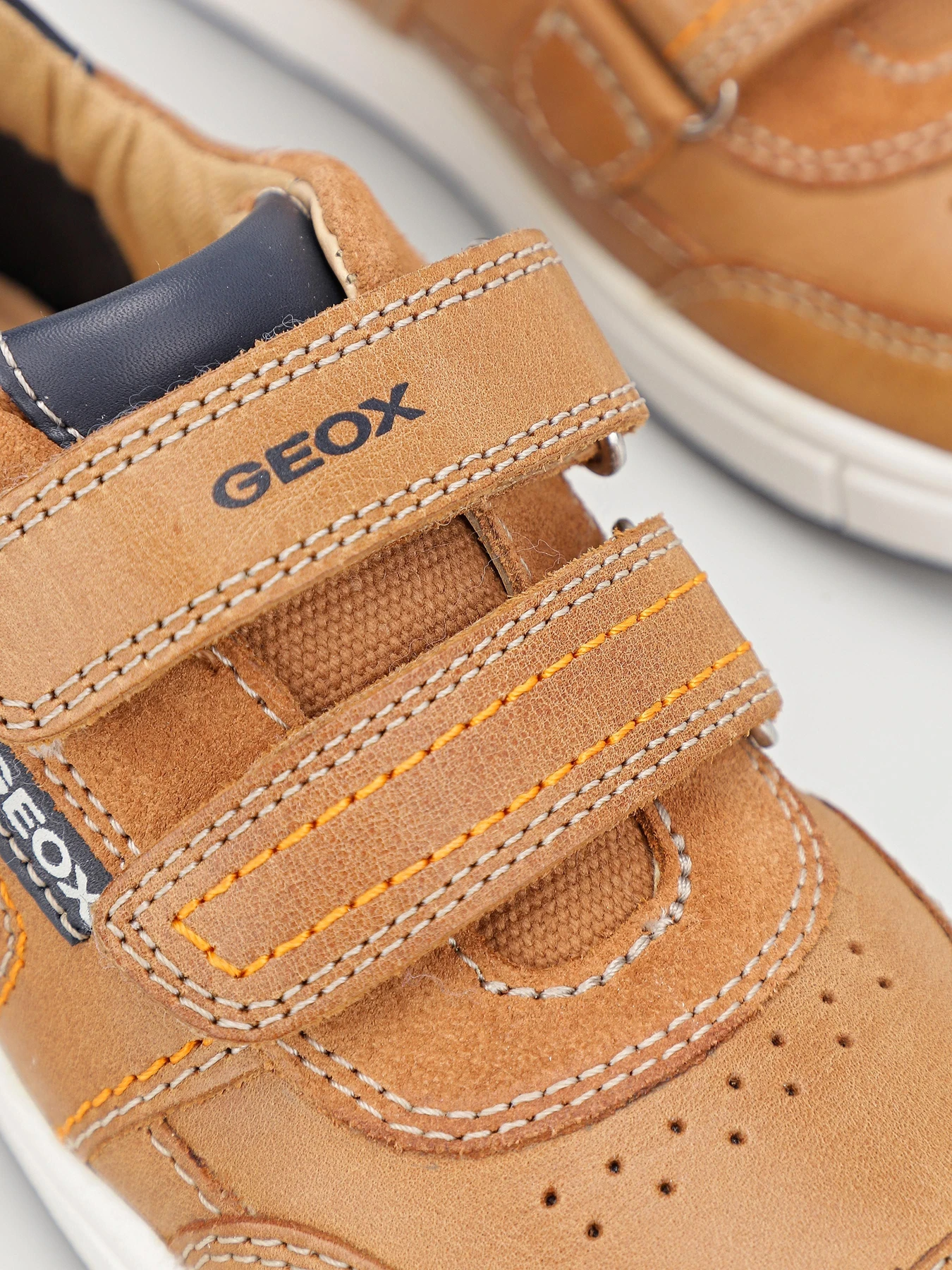 Кеды Geox Trottola модель B2543A-0CL22-C5GF4 Кеды Geox Trottola модель B2543A-0CL22-C5GF4 Фото