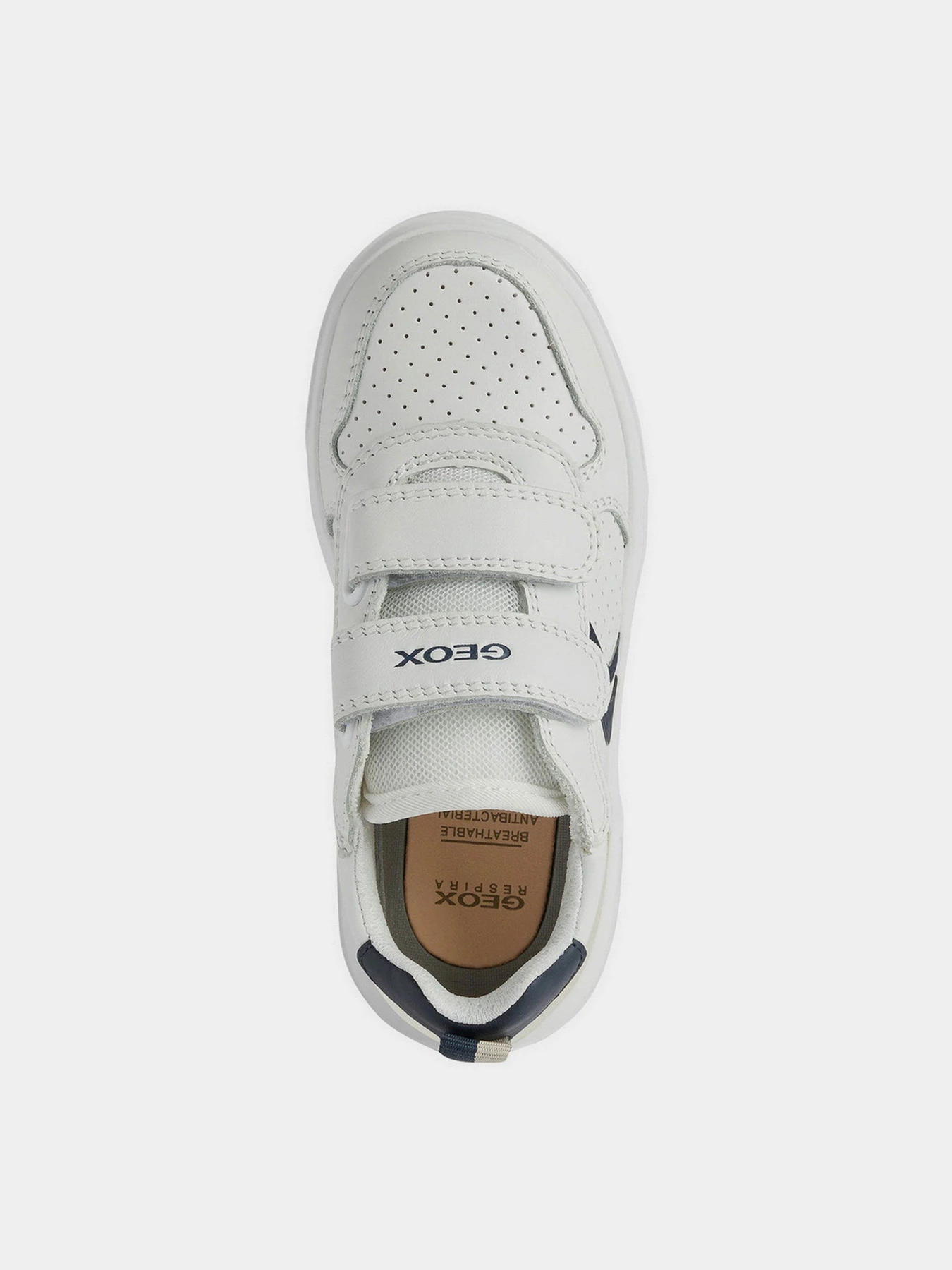 Кеды Geox Nettuno модель J15AWC-0BU85-C0899 Кеды Geox Nettuno модель J15AWC-0BU85-C0899 Фото