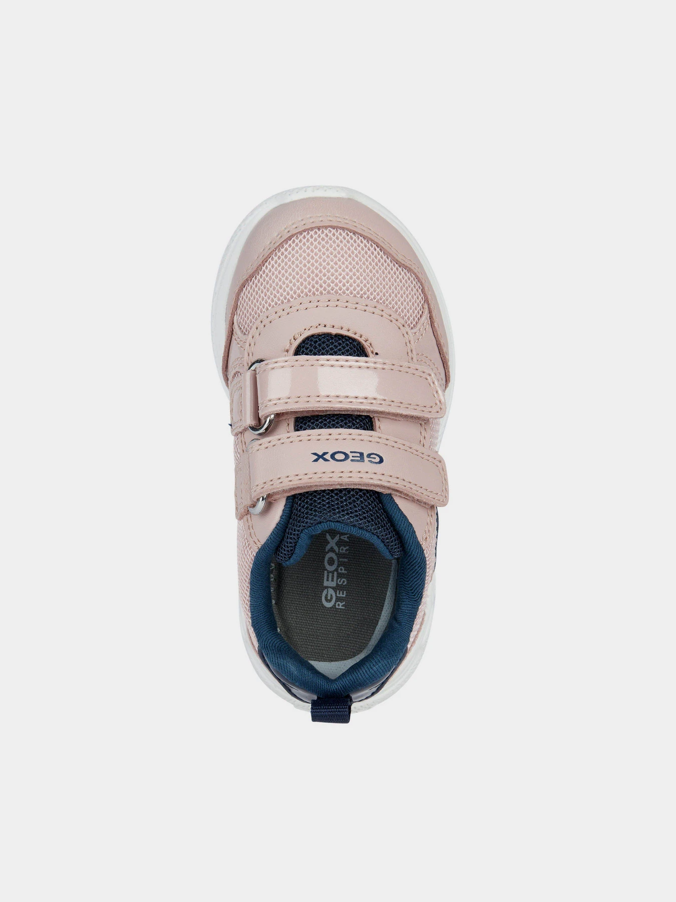 Кросівки Geox модель B354TC-01454-CA8F4 Кросівки Geox модель B354TC-01454-CA8F4 Фото