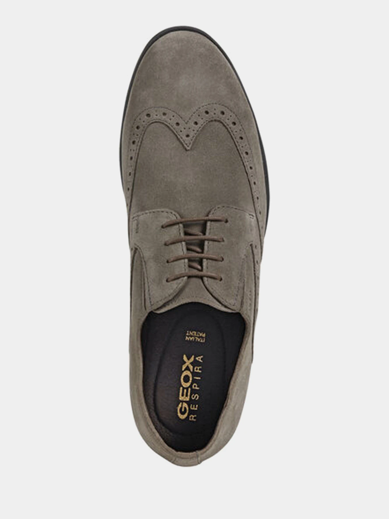 Туфли и лоферы Geox Domenico модель U029LD-00022-C6029 Туфли и лоферы Geox Domenico модель U029LD-00022-C6029 Фото