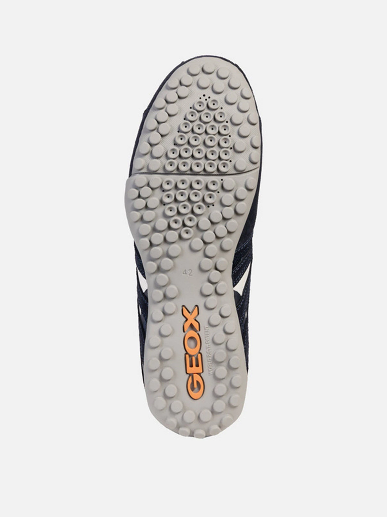 Кроссовки Geox Snake модель U4207L-02214-C4002 Кроссовки Geox Snake модель U4207L-02214-C4002 Фото