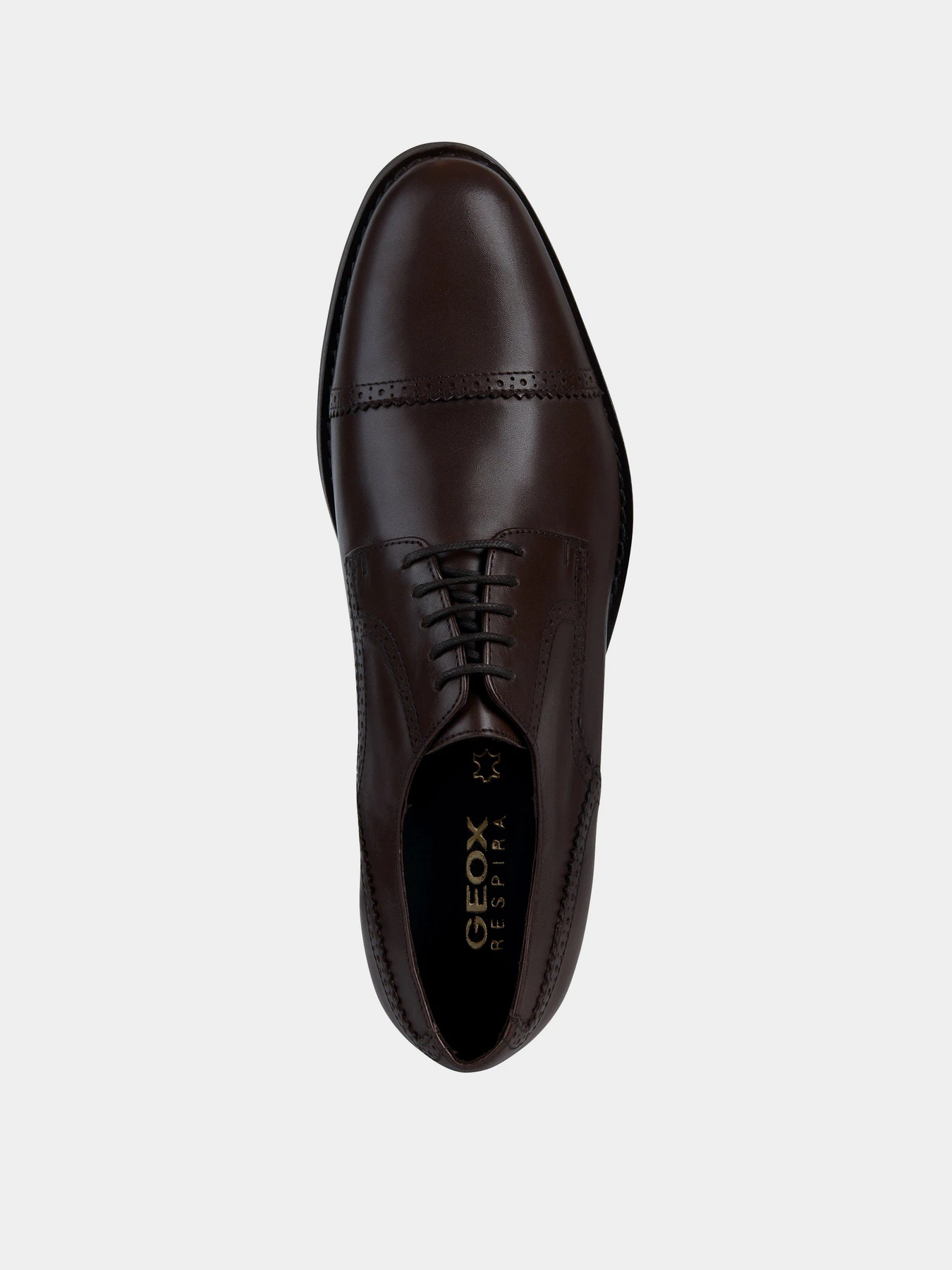 Туфли и лоферы Geox HAMPSTEAD модель U35E3B-00043-C6006 Туфли и лоферы Geox HAMPSTEAD модель U35E3B-00043-C6006 Фото