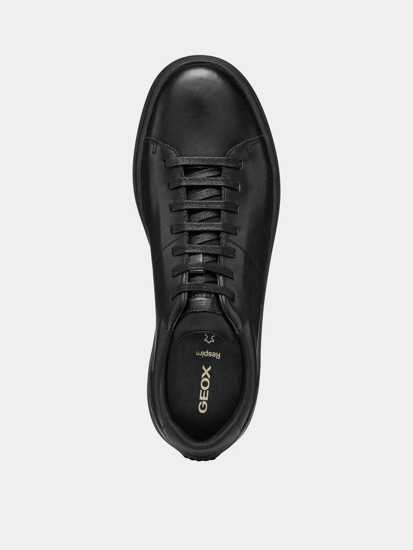 Кеды Geox Baltmoore модель U55LDC-00043-C9999 Фото