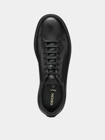Кеды Geox Baltmoore модель U55LDC-00043-C9999 Фото