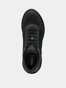 Кроссовки Geox Klaiver модель U55LBB-06K9J-C9999 Фото