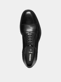 Туфли и лоферы Geox BARBERIGO модель U56MBD-00043-C9999 Фото