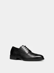 Туфли и лоферы Geox THORIAN модель U66NZC-00043-C9999 Фото