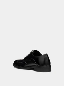 Туфли и лоферы Geox THORIAN модель U66NZC-00043-C9999 Фото