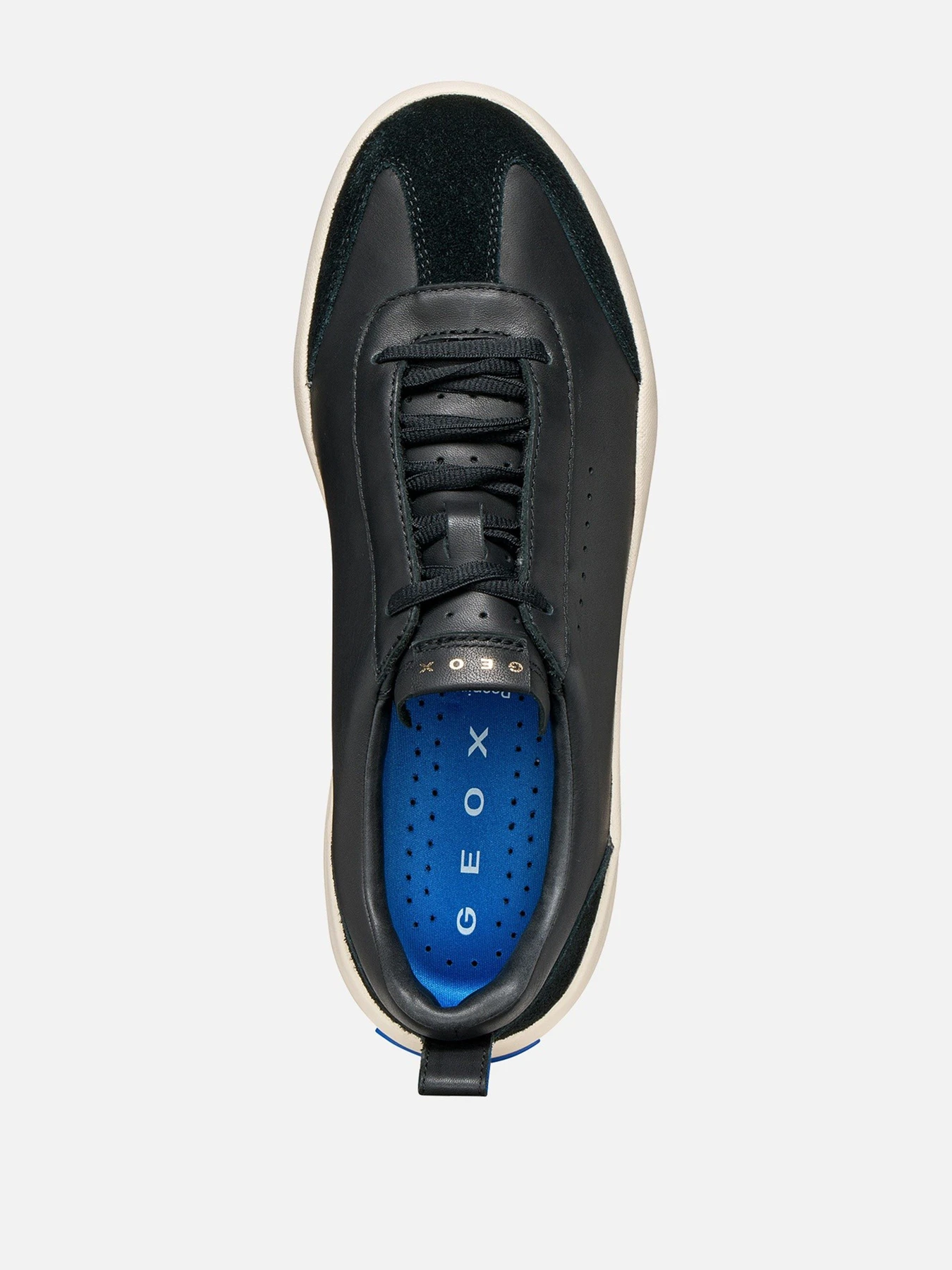 Кеды Geox GXCP-02 модель U656JA-08522-C9999 Фото