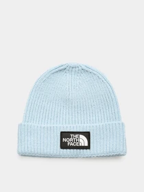 Шапки и кепки The North Face Logo Box Cuffed модель NF0A3FJX3R31 Фото