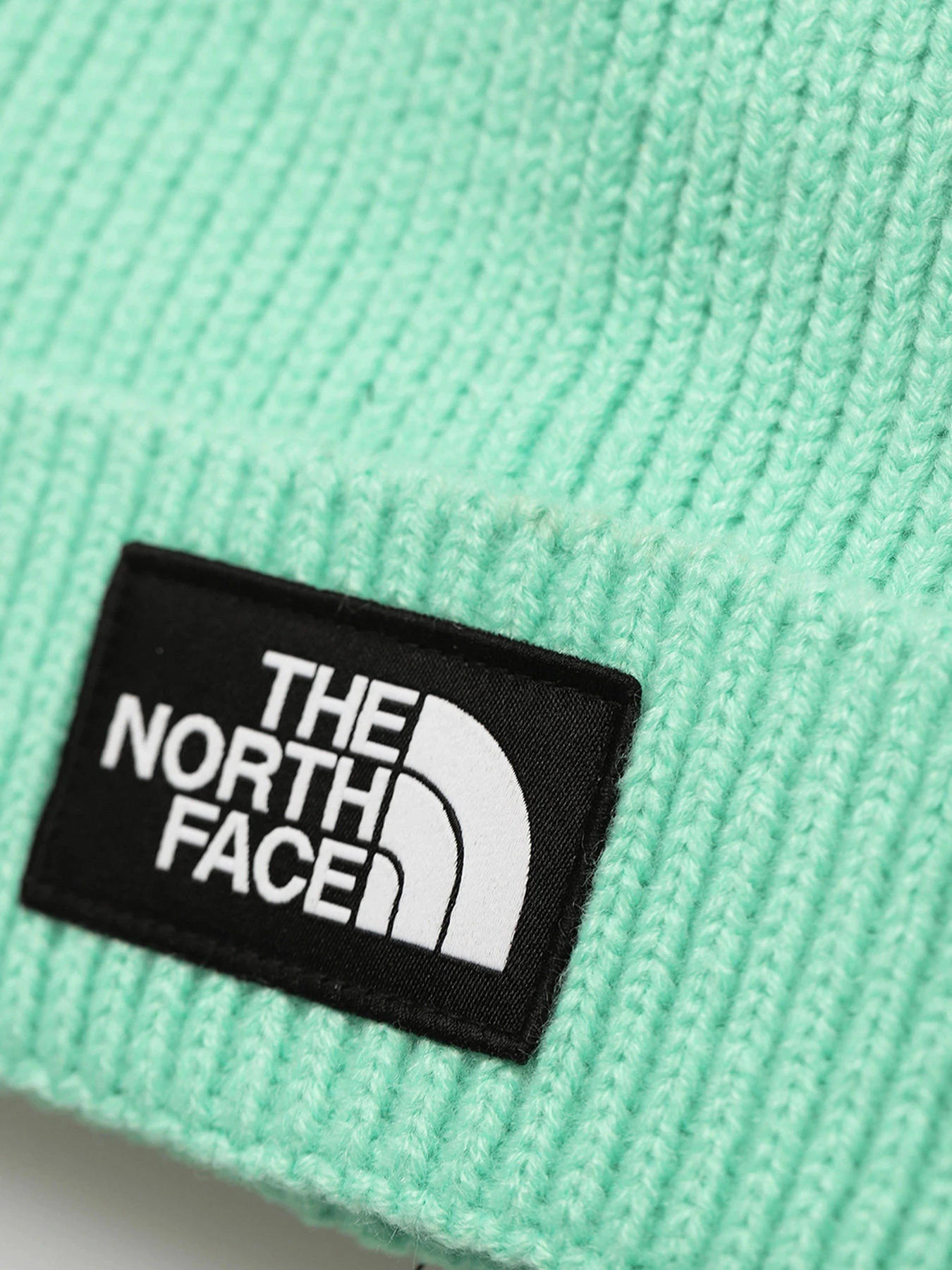 Шапки и кепки The North Face Logo Box Cuffed модель NF0A3FJX3R61 Фото