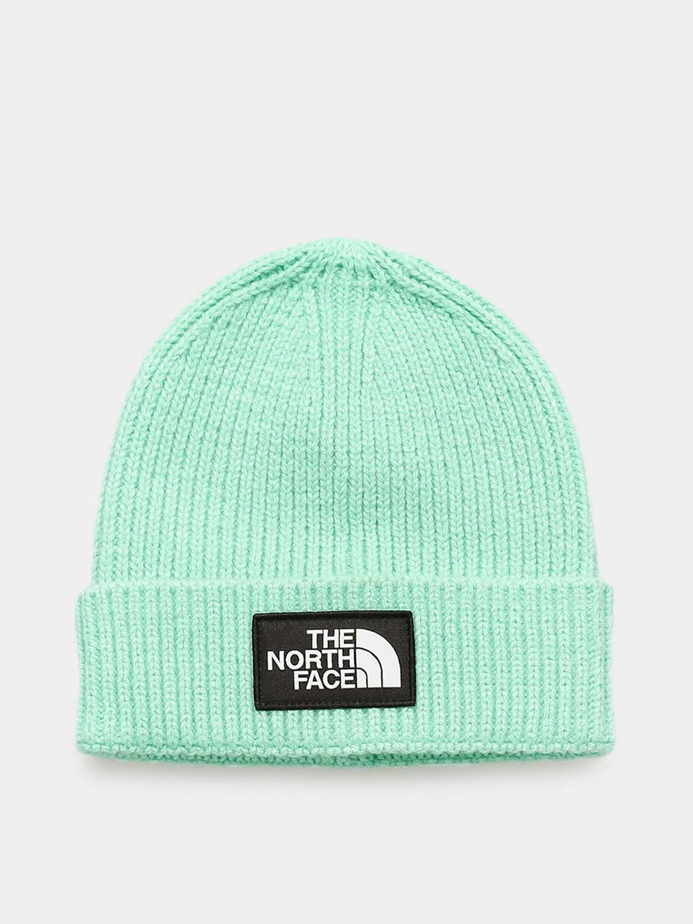 Шапки и кепки The North Face Logo Box Cuffed модель NF0A3FJX3R61 Фото