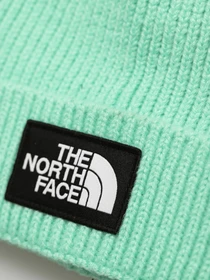 Шапки и кепки The North Face Logo Box Cuffed модель NF0A3FJX3R61 Фото
