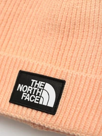 Шапки и кепки The North Face Logo Box Cuffed модель NF0A3FJX3R81 Фото