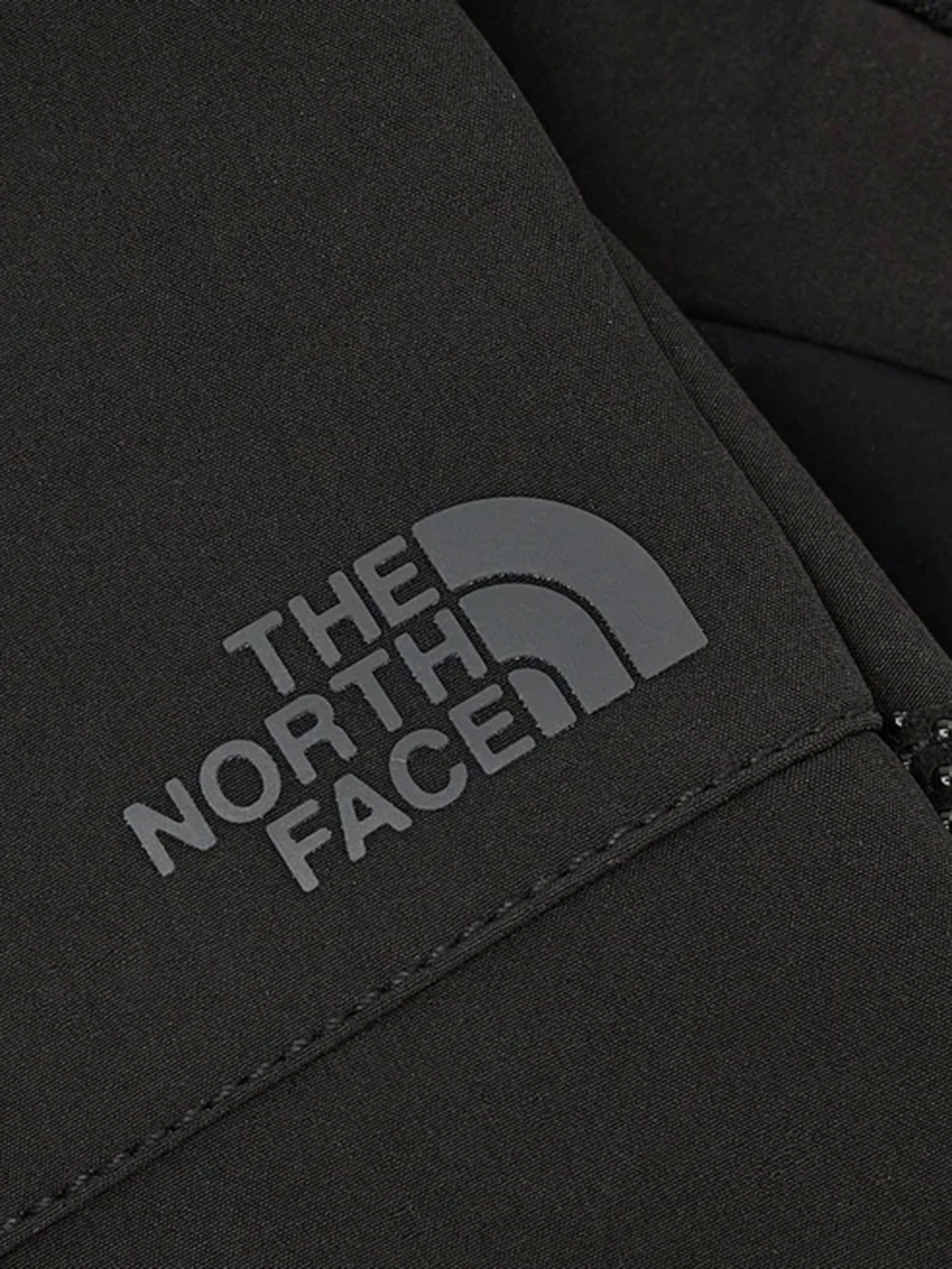 Перчатки и варежки The North Face Apex Etip™ Insulated модель NF0A7RHEJK31 Перчатки и варежки The North Face Apex Etip™ Insulated модель NF0A7RHEJK31 Фото