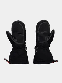 Перчатки и варежки The North Face Ski Mitt модель NF0A7RGXJK31 Фото