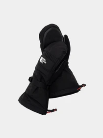 Перчатки и варежки The North Face Ski Mitt модель NF0A7RGXJK31 Фото