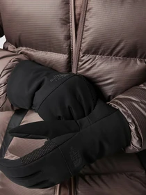 Перчатки и варежки The North Face Apex Insulated Etip модель NF0A7RHHJK31 Фото